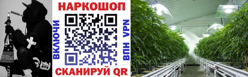 Купить закладку Канабис A PVP ГАШ Мефедрон Инта