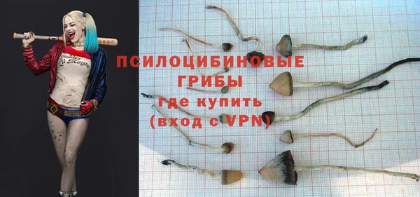 соль курить ск Гусев